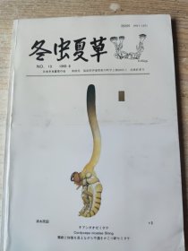 冬虫夏草 №13（1993.9）
