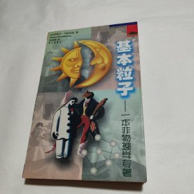 基本粒子：一本非物理学专著