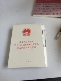 中华人民共和国第十三届全国人民代表大会第五次会议文件汇编