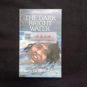 the dark bright water 黑亮的水 1978 兒童小說 英文 外文