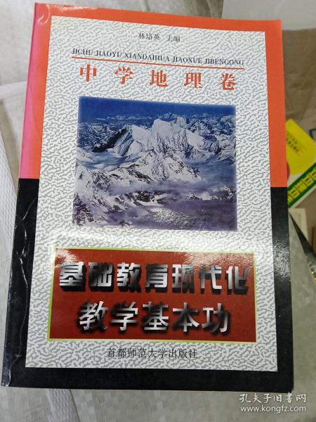 基础教育教学基本功丛书：基础教育教学基本功（中学地理卷）