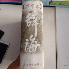 辞海 2000年版缩印本