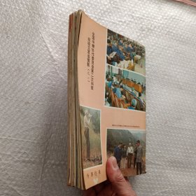 蜜蜂杂志1984年3.4；1985年1.3；1986年3.4；1988年1.4。8本合售