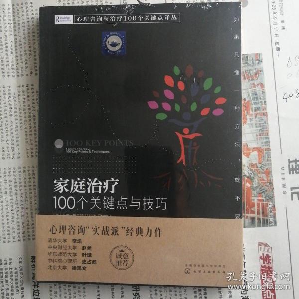 家庭治疗：100个关键点与技巧/心理咨询与治疗100个关键点译丛