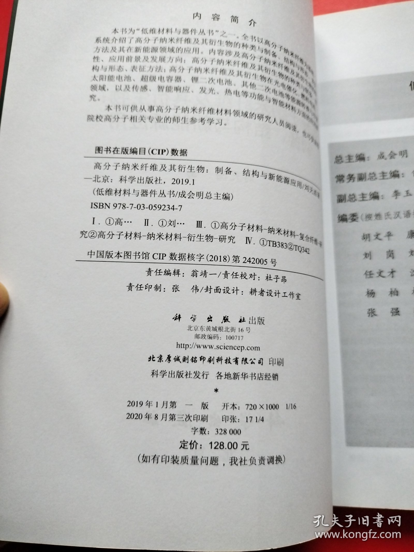 高分子纳米纤维及其衍生物：制备、结构与新能源应用【书内干净】