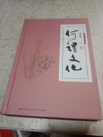 何谓文化 硬精装