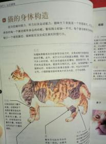 猫咪家庭医学大百科