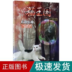 猫王国·暗黑王国.2，歧路惊魂