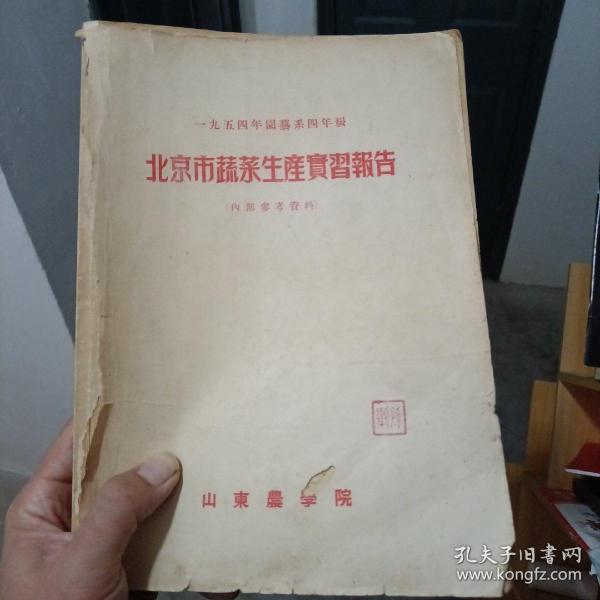 北京市蔬菜生产实习报告 1954年园艺系四年级（金2柜4）山东农学院  书首页分家  内容不缺