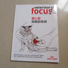 猫心脏和胸部疾病。