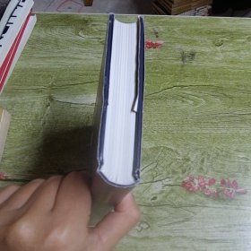 在田野看见宋朝