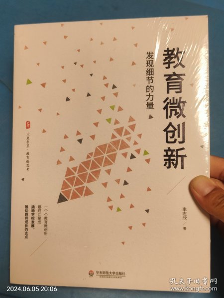 教育微创新：发现细节的力量（教育新思考） 大夏书系