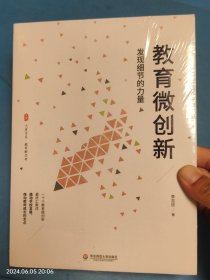 教育微创新：发现细节的力量（教育新思考） 大夏书系