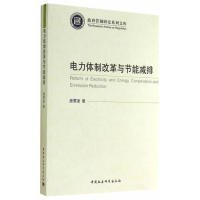 电力体制改革与节能减排/政府管制研究系列文库