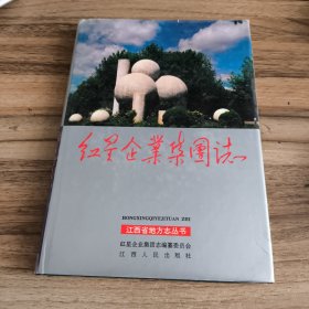 红星企业集团志