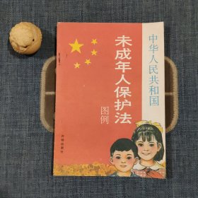 中华人民共和国未成年人保护法图例