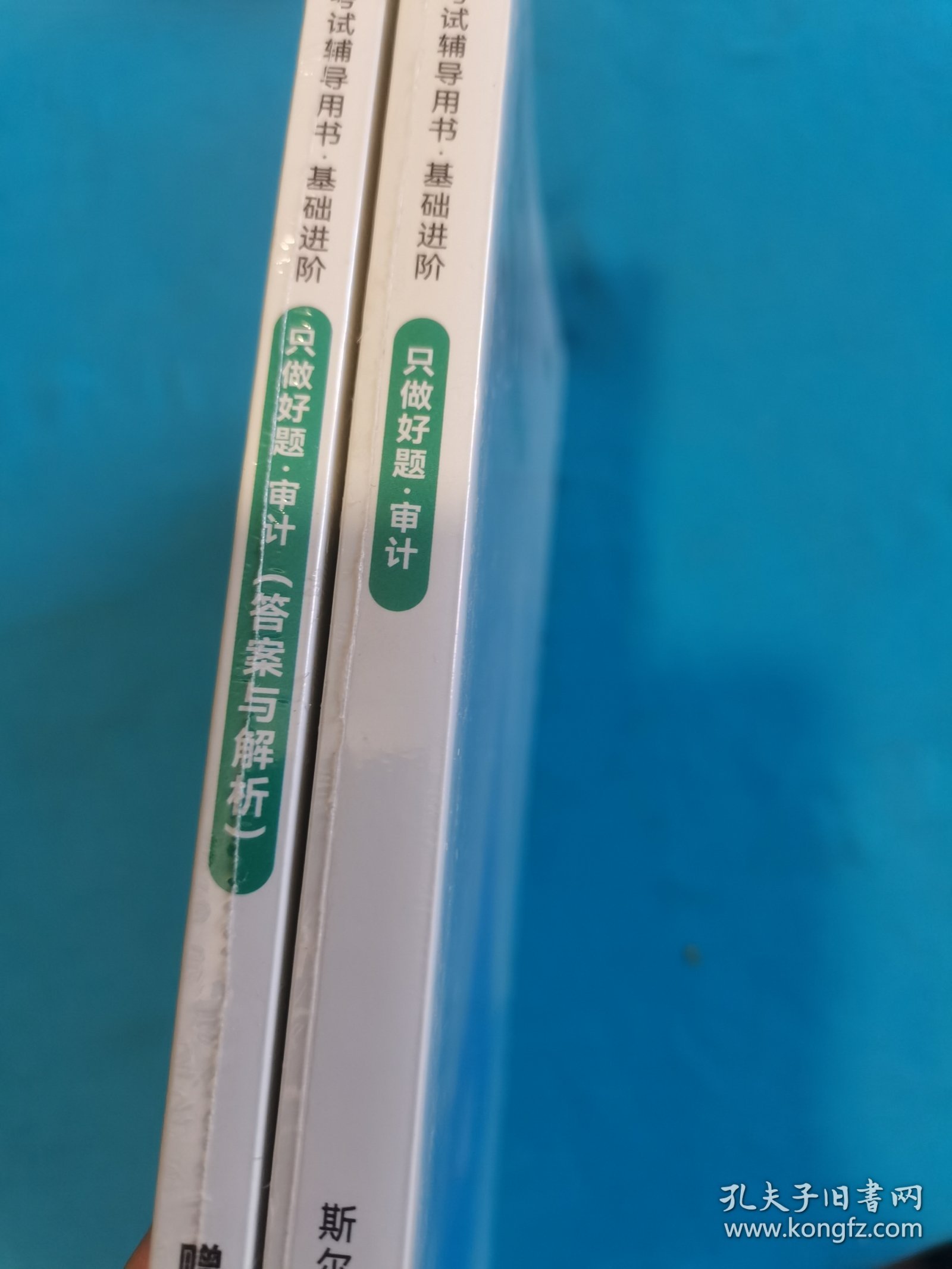 只做好题 审计 ，答案与解析（2册同售）两册全塑封书