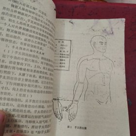 脏腑经络学说