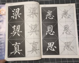 大字墨宝本--赵孟頫寿春堂记临习技法 柳公权玄秘塔碑临习技法（两本）