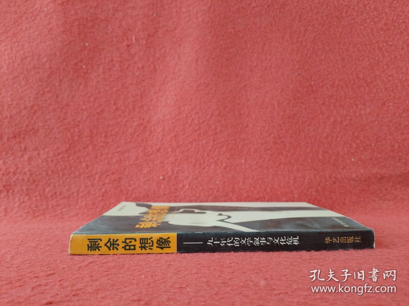 剩余的想象:九十年代的文学叙事与文化危机【钤印签赠本】实物拍图