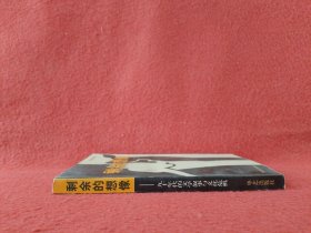 剩余的想象:九十年代的文学叙事与文化危机【钤印签赠本】实物拍图