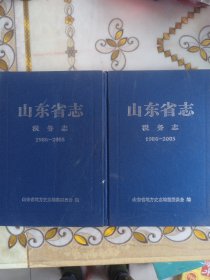 山东省志 税务志（19862005）（上下）