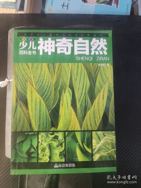中国少年儿童百科全书 彩图注音版 神奇自然
