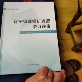 辽宁省菱镁矿资源潜力评价