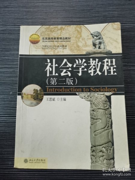 21世纪社会学系列教材：社会学教程（第二版）