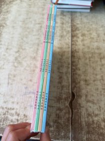 我爱桥梁书 和叫叫一起读木偶奇遇记 （全4册）半开封