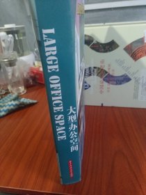 大型办公空间(攘括国内外800平方米以上的大型办公空间典型案例。)