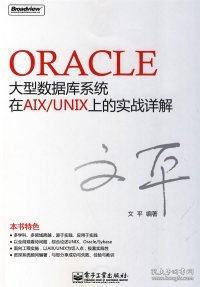 Oracle大型数据库系统在AIX/UNIX上的实战详解