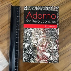 Adorno for Revolutionaries《为革命者而作的阿多诺》 英文原版