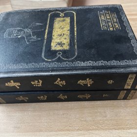 魯迅全集（中下兩本）