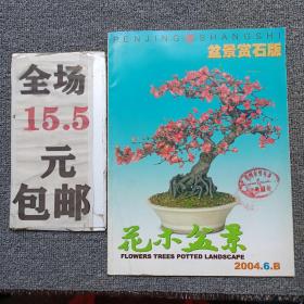 花木盆景2004年第6期B