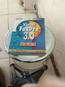 Visual FoxPro 3.0应用篇
