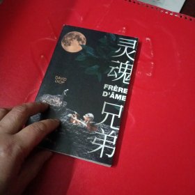 “词语音乐家”达维德·迪奥普代表作：灵魂兄弟（揭示荒谬的真相：战争鼓励人发疯，又把发疯的人都杀死）