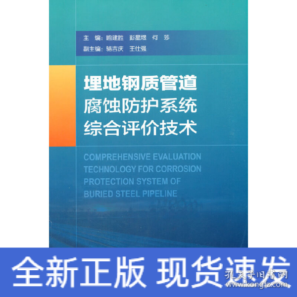 埋地钢质管道腐蚀防护系统综合评价技术