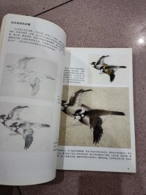 美术基础教学系列丛书：工笔禽鸟设色技法