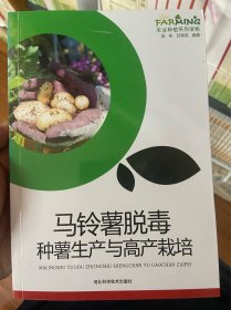 马铃薯脱毒种薯生产与高产栽培