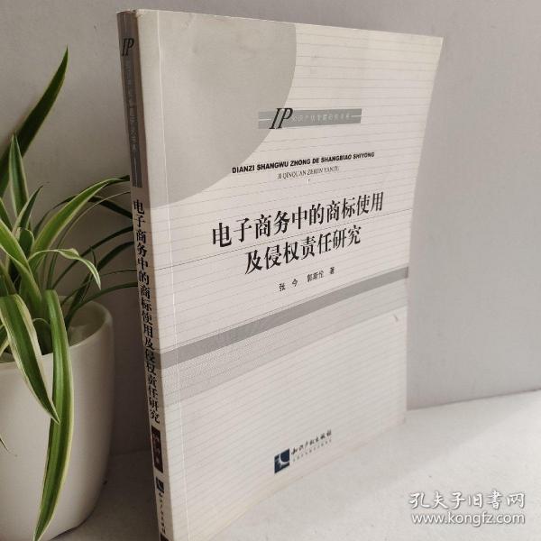 IP知识产权专题研究书系：电子商务中的商标使用及侵权责任研究