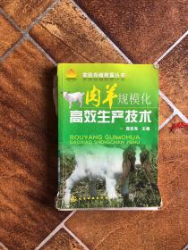 家庭养殖致富丛书：肉羊规模化高效生产技术