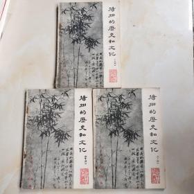 扬州的历史和文化（上中下 ）全三册