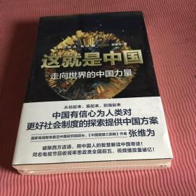 这就是中国：何谓民主、走向世界的中国力量。