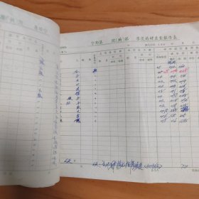 1972年江西省宁都县洛上公社球田大队中药盘查表6页全