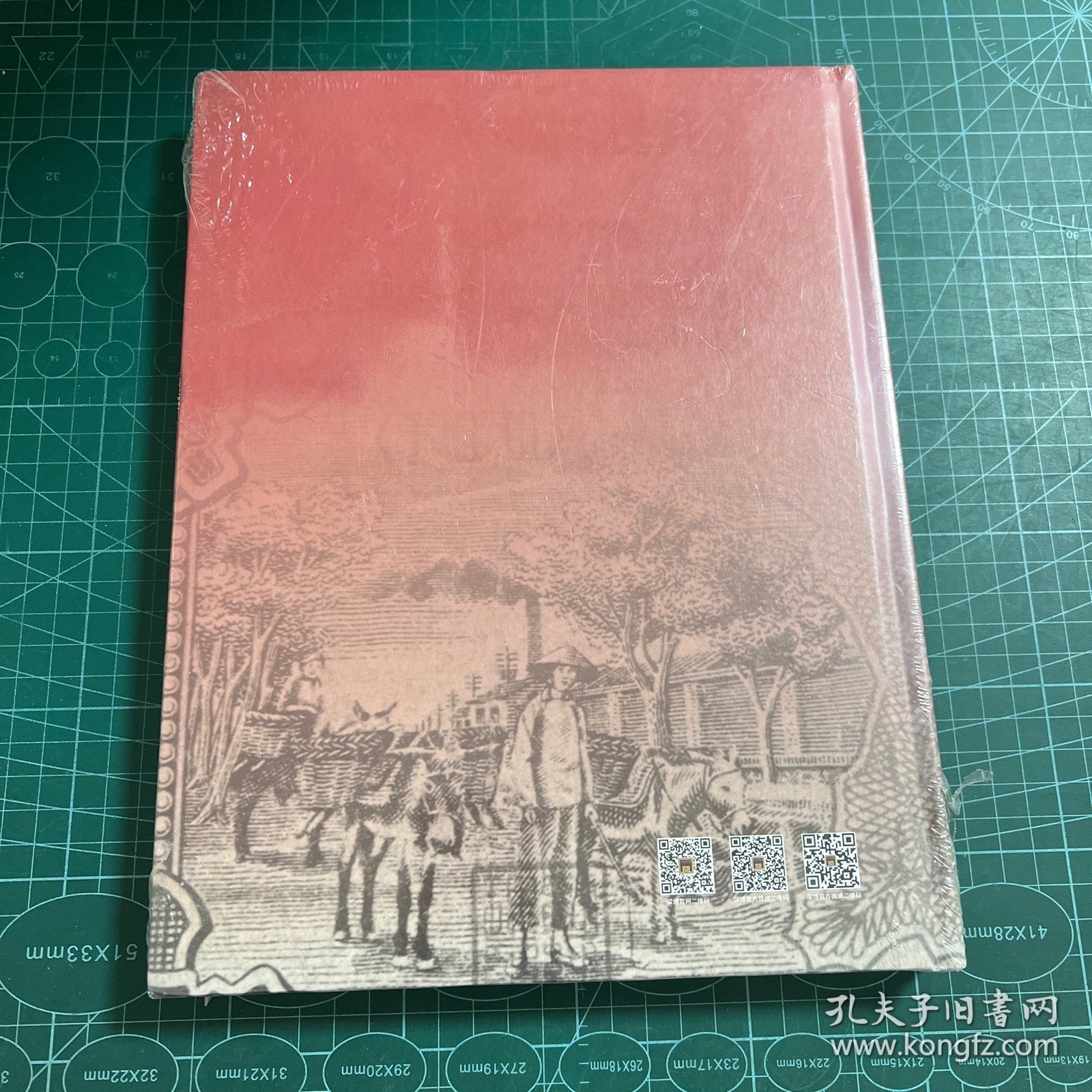 红色货币见证光辉岁月［精装未拆封］