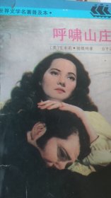 呼啸山庄A02