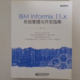 IBM Informix 11.x系统管理与开发指南