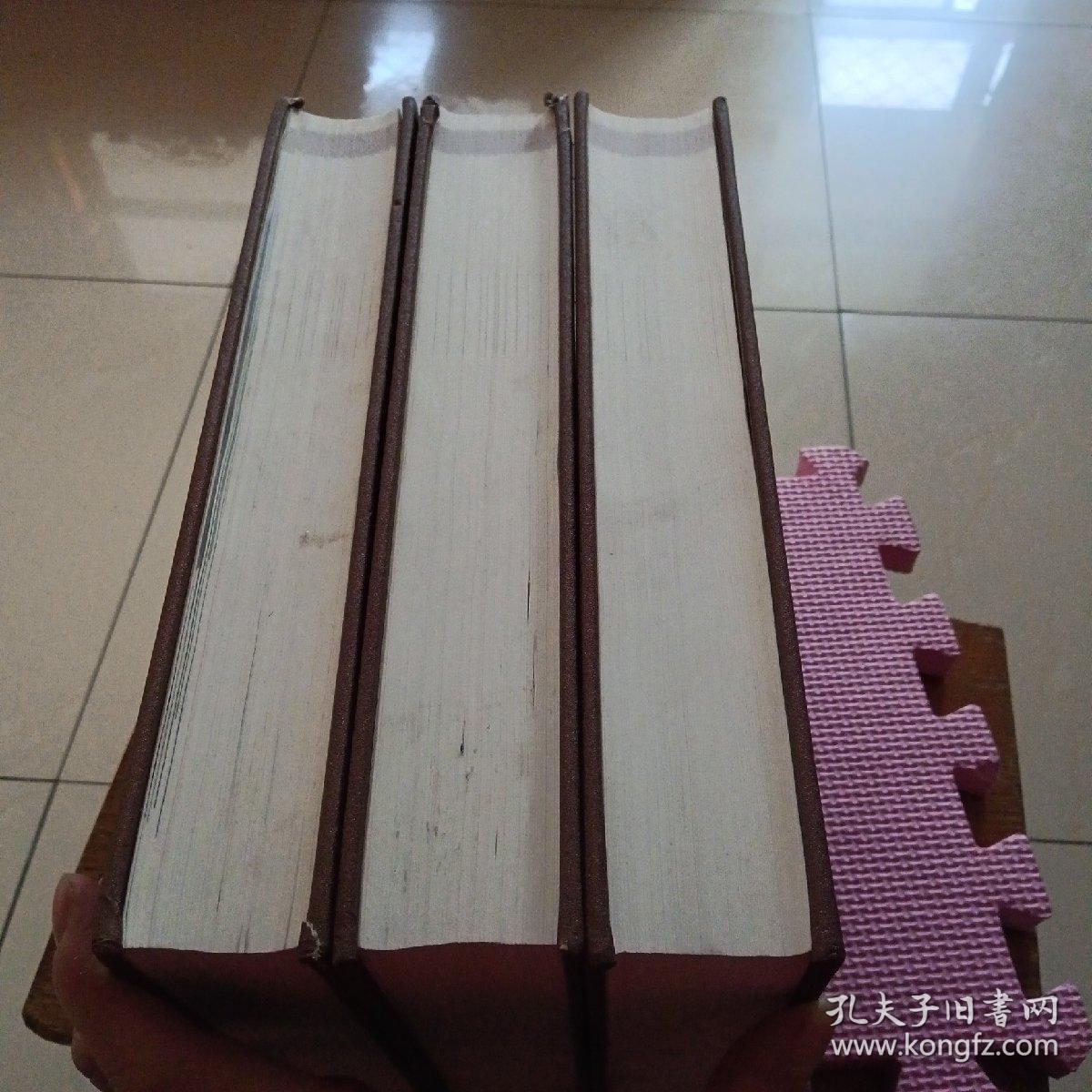 莱芜市志（上中下）全三册