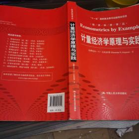 计量经济学原理与实践/“十一五”国家重点图书出版规划项目·经济科学译丛